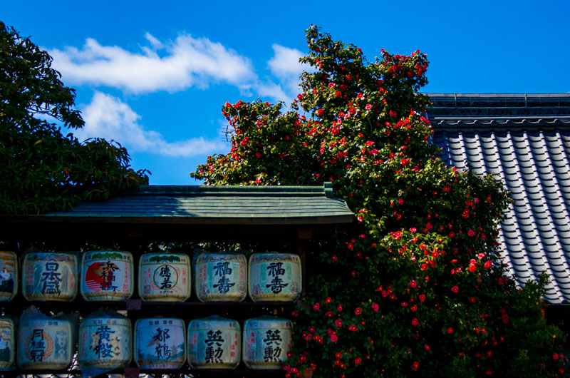 kyoto photo by aki