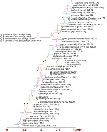 Intrada Amino Acid Analysis Column for LC-MS