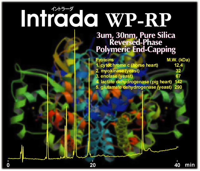 Bio-polymers RP separation Column Intrada WP-RP